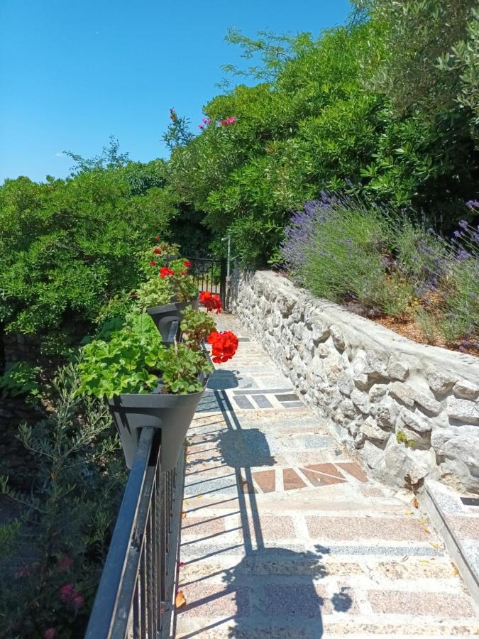 Sea & Honey Διαμέρισμα Krk Town Εξωτερικό φωτογραφία